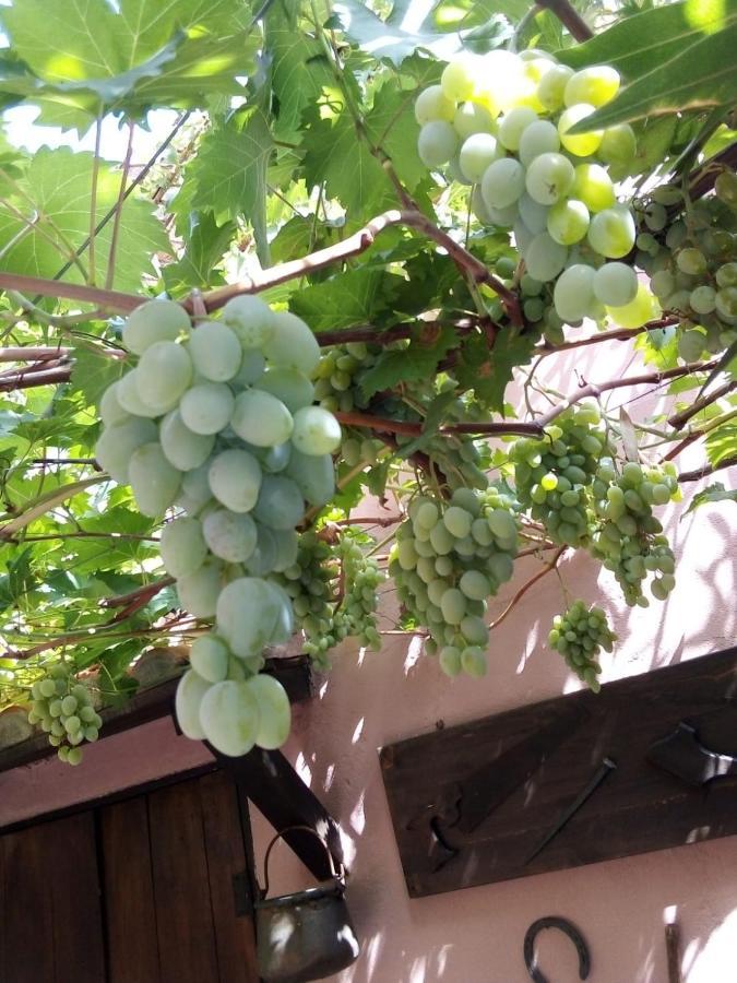 Belli Come Il Sole Serri Buitenkant foto
