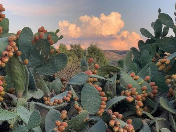 Belli Come Il Sole Serri Buitenkant foto